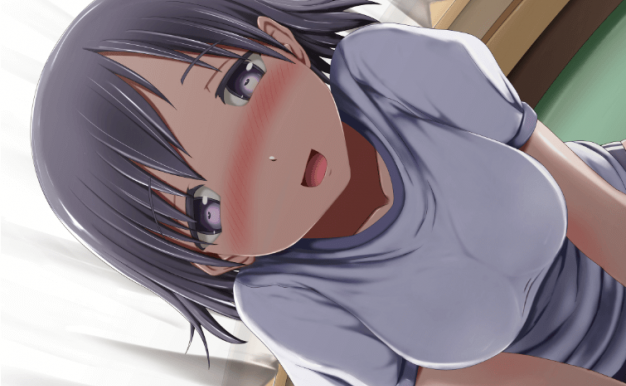 体操服肌肤相亲伸展运动 电脑PC加安卓中文版,制服控福利