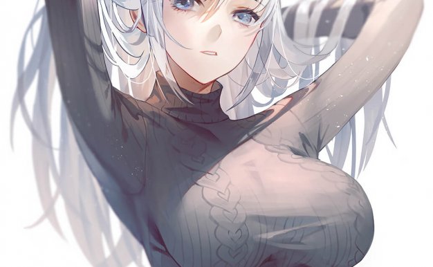 珍藏的一张二次元图