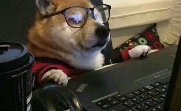 并没有黑长直的特集