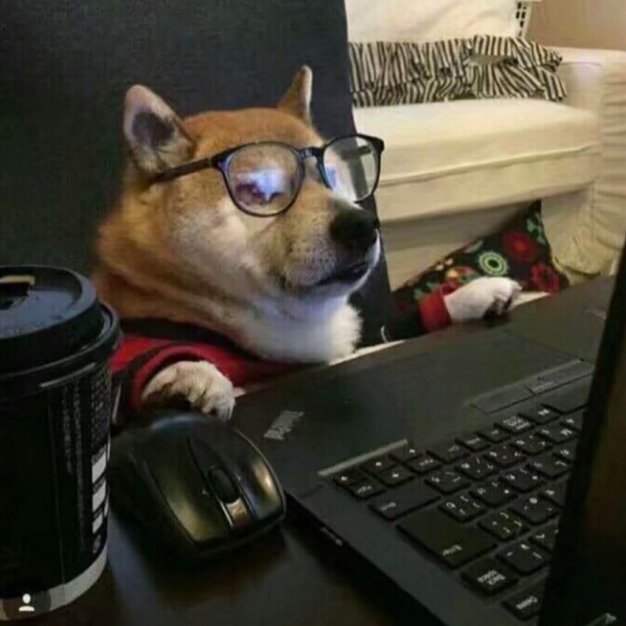 并没有黑长直的特集