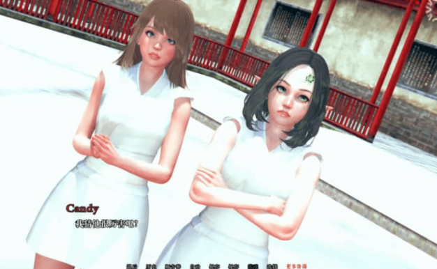 流浪幼崽 v0.8a PC加安卓汉化版