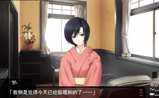 壳之少女 PC加安卓汉化完结版